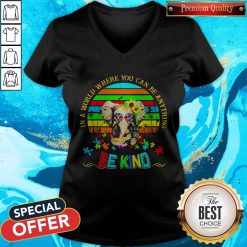 Elephant Autism In A World Where You Can Be Anything Be Kind Vintage V-neck