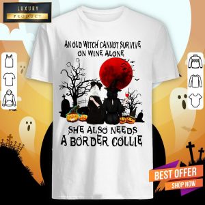 An Old Witch Cannot Survive On Wine Alone She Also Needs A Border Collie Moon Halloween Shirt