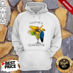 Awesome Pour Me A Quarantine Hoodie