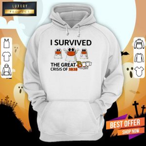 Ghost Face Mask I Survived The Great Crisis Of 2020 Boo Sheet Hoodie