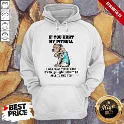 If You Hurt My Pitbull I Will Slap You So Hard Even Google Won't Be Able To Find You Heart Hoodie