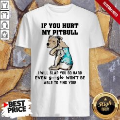 If You Hurt My Pitbull I Will Slap You So Hard Even Google Won't Be Able To Find You Heart Shirt