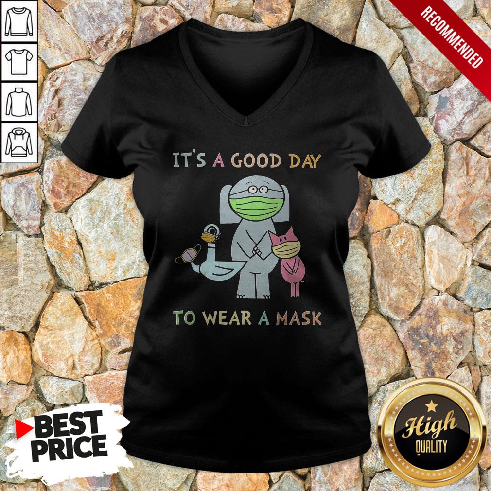 It'S A Good Day To Wear A Mask Pigeon V-neck