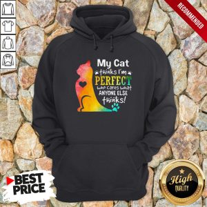My Cat Thinks I'm Perfect Who Cares What Anyone Else Thinks Hoodie