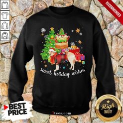 Funny Golden Santa sweet holiday wishes Christmas 2020 Sweatshirt Design By T-shirtbear.com