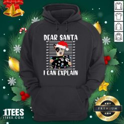 Nice Australian Cattle Dear Santa I Can Explain Christmas Sweater Hoodie - Design By 1tee.com
