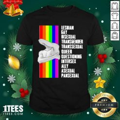 Lesbian Gay Bisexual Transgender Transsexual Queer Questioning Intersex Ally Asexual Pansexual LGBT Shirt- Design By 1Tees.com