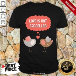 Love Is Not Cancelled Graphic Shirt- Design By 1tees.com