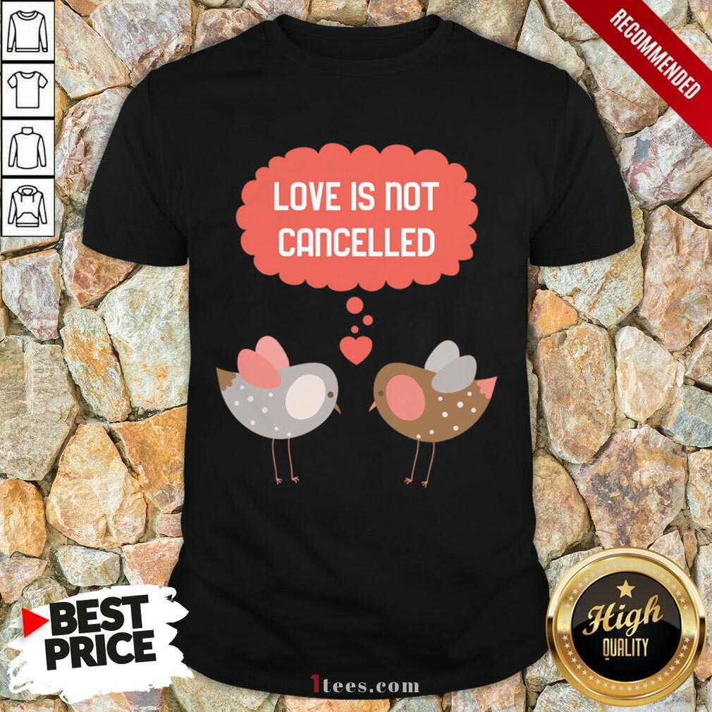 Love Is Not Cancelled Graphic Shirt- Design By 1tees.com