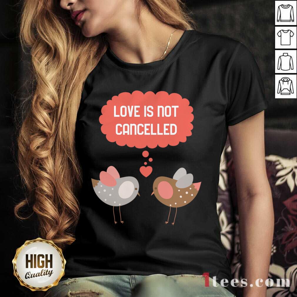 Love Is Not Cancelled Graphic V-neck- Design By 1Tees.com