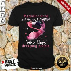 Delighted Spirit Animal A Grumpy Flamingo Shirt