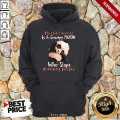 Enthusiastic Spirit Animal A Grumpy Panda Hoodie