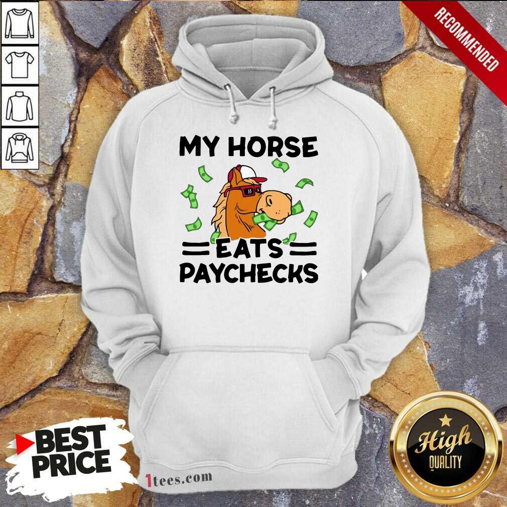 Good My Horse Eats Paychecks Ecstatic 789 Hoodie