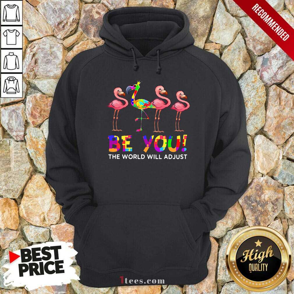 Flamingo Be You The World Will Adjust Hoodie