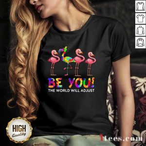 Flamingo Be You The World Will Adjust V-neck