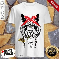 Funny Alpaca 47 Shirt