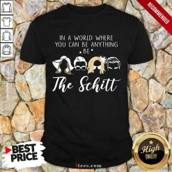 Funny In A World Where You Can Be Anything Be The Chill Shirt
