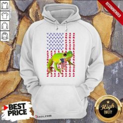 Frog American Flag Hoodie