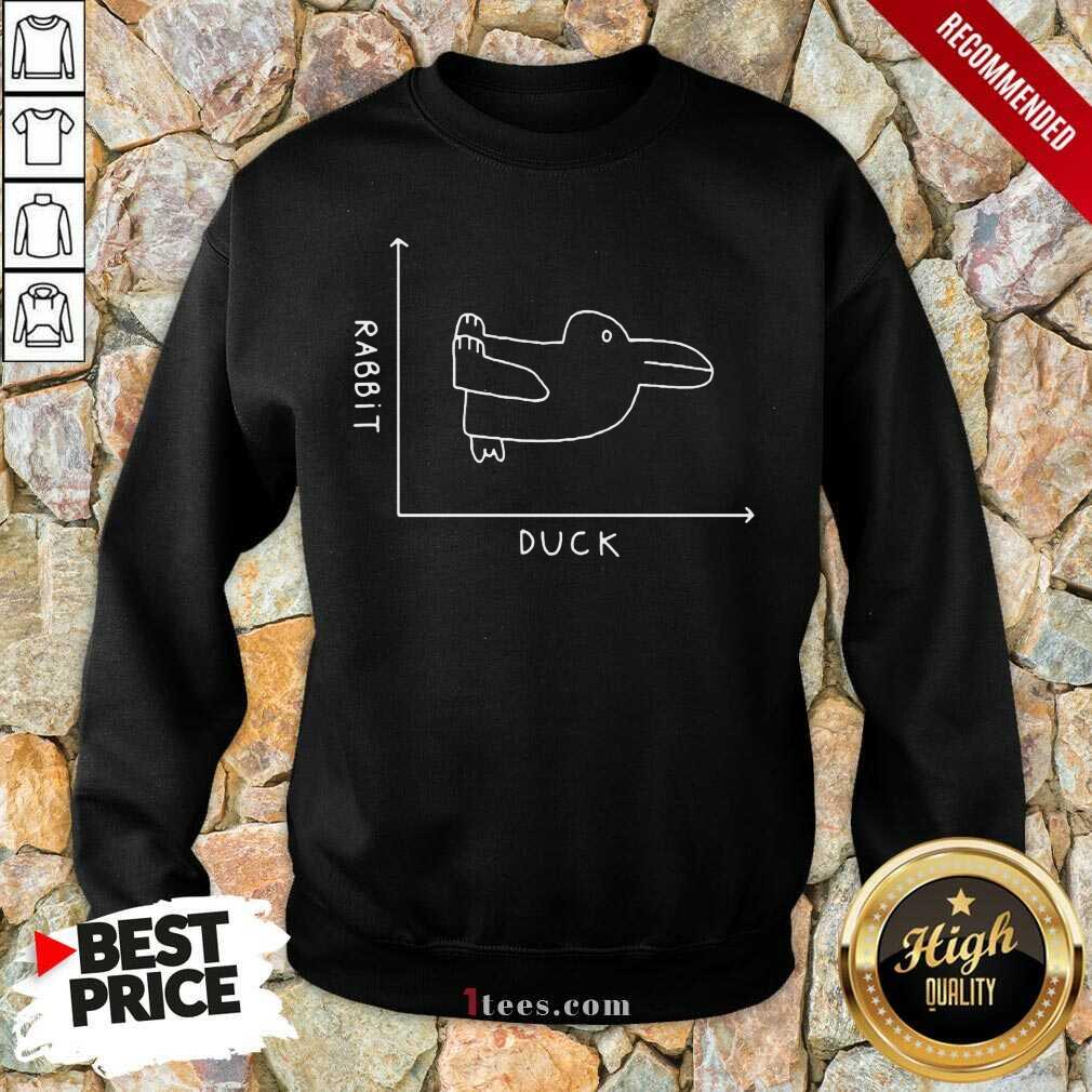 The Rabbit–Duck Sweatshirt