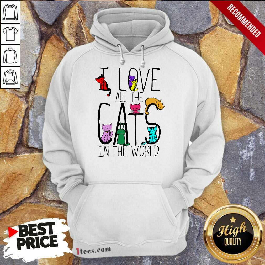 I Love All The Cats In The World Hoodie