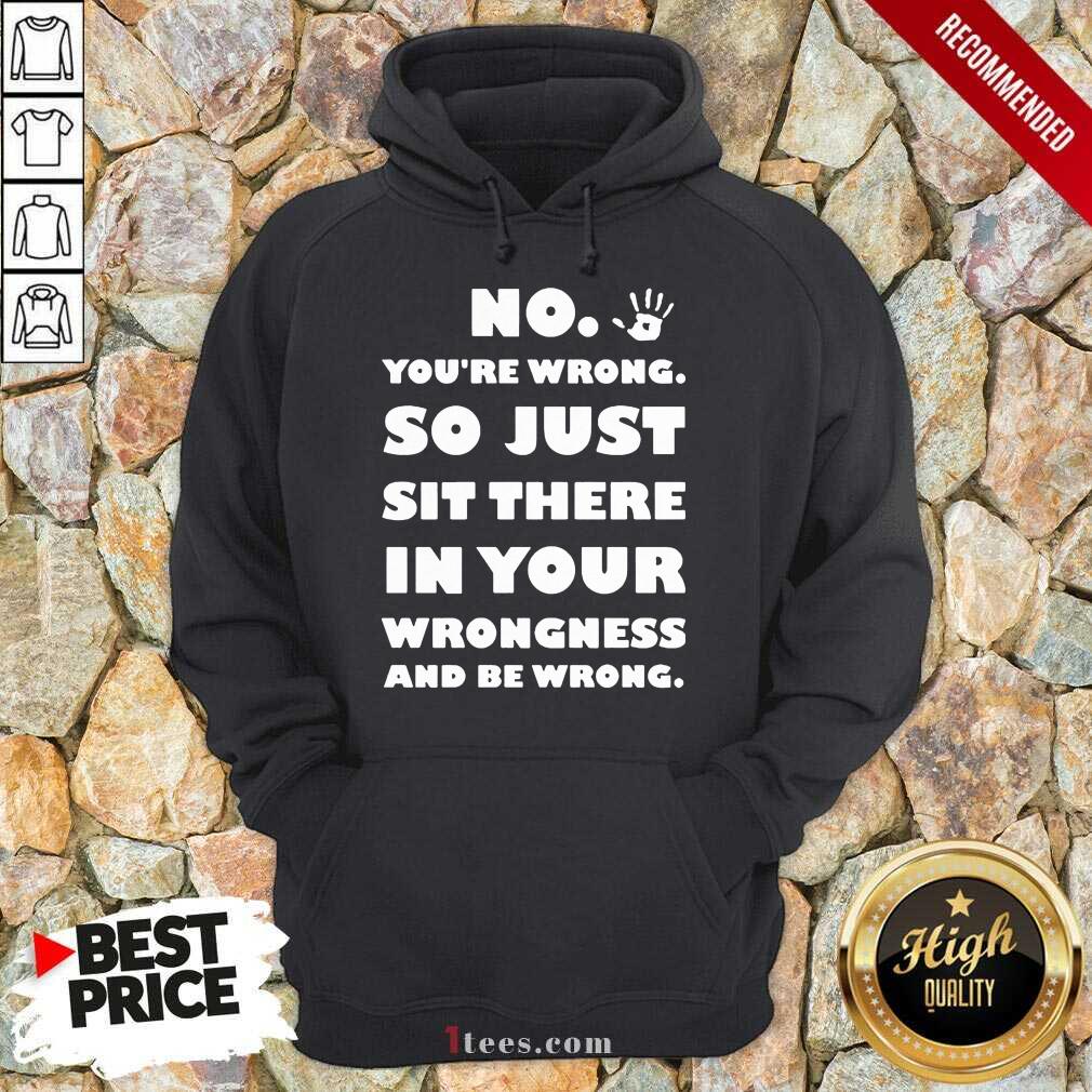 No So Just Sit There In Your Wrongness Hoodie