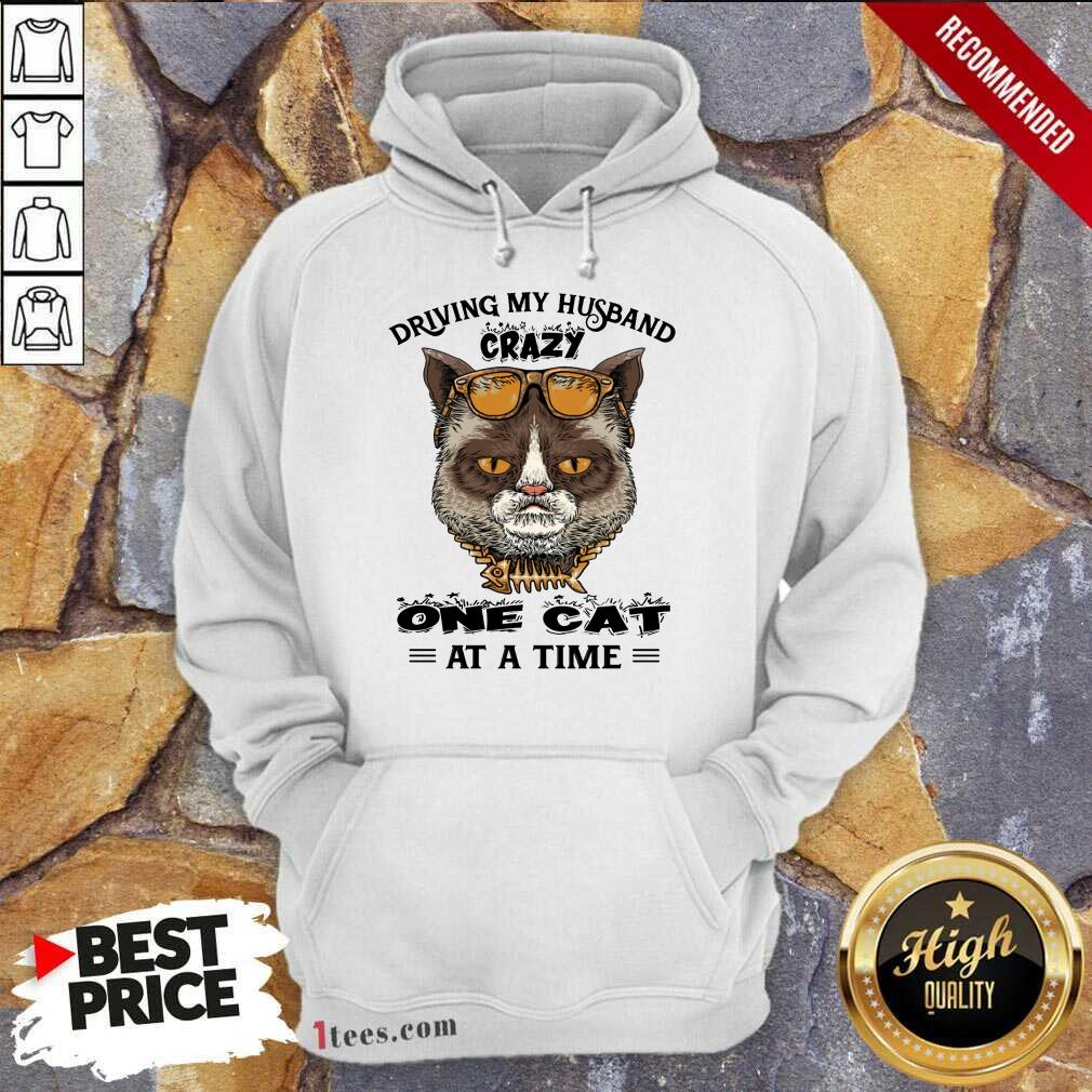 Driving My Husband Crazy One Cat At A Time Hoodie