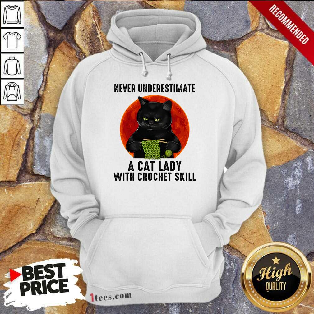 Never Underestimate A Cat Lady With Crochet Skill Hoodie
