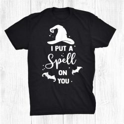 I Put Spell On You Funny Halloween Witches Shirt